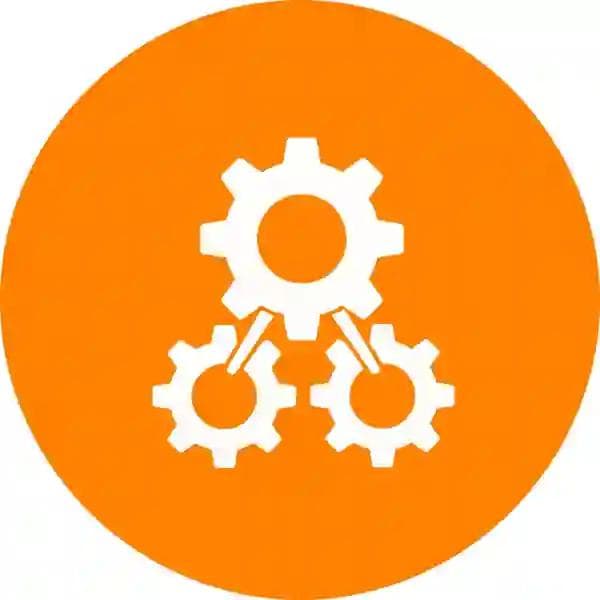 Organização